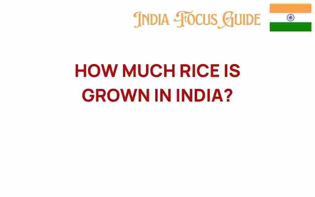 how-much-rice-is-grown-in-india