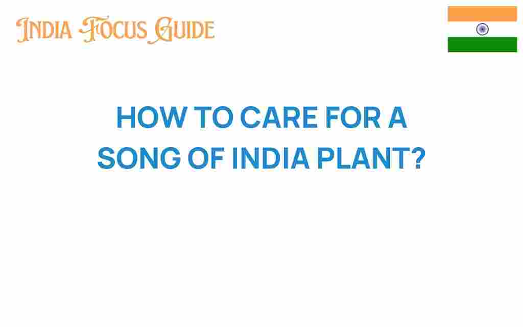 care-song-of-india-plant