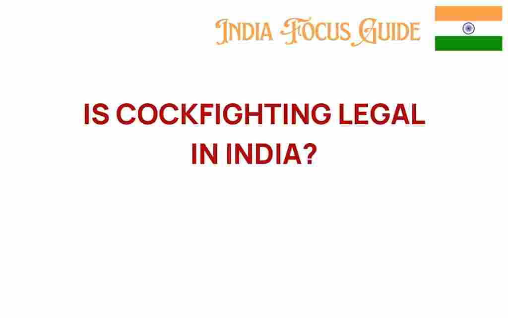 is-cockfighting-legal-in-india