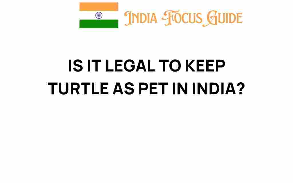 is-it-legal-to-keep-turtle-as-pet-in-india