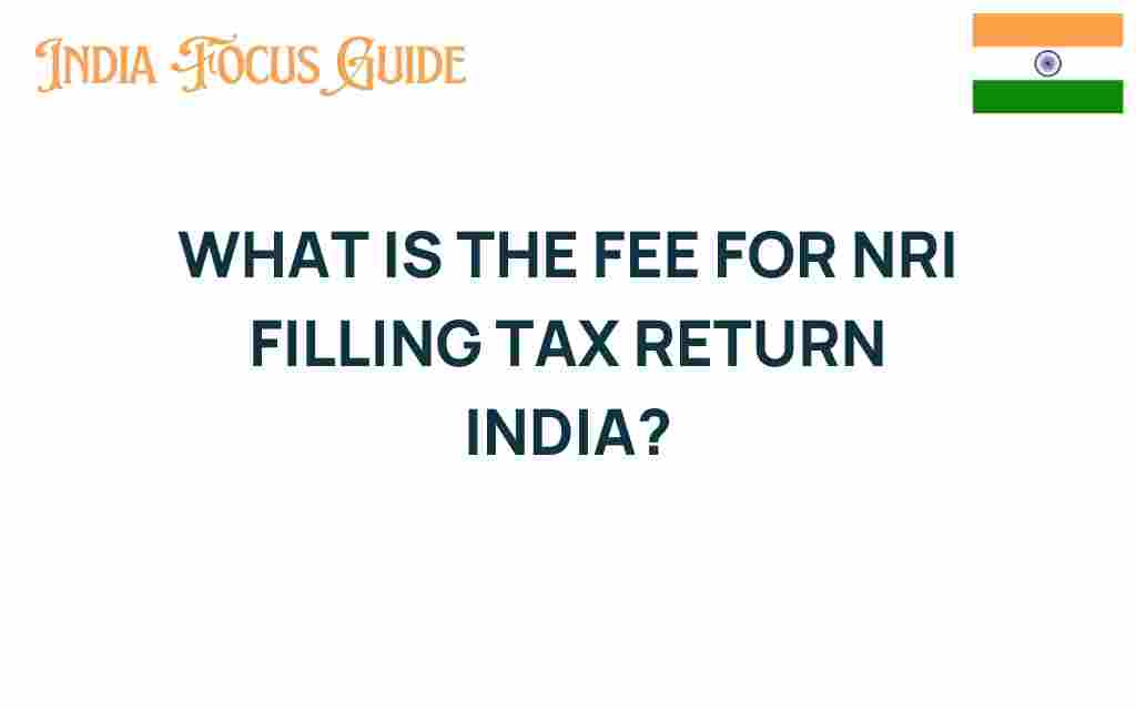 nri-tax-return-fee-india