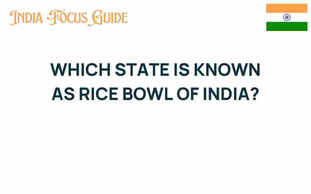 rice-bowl-of-india